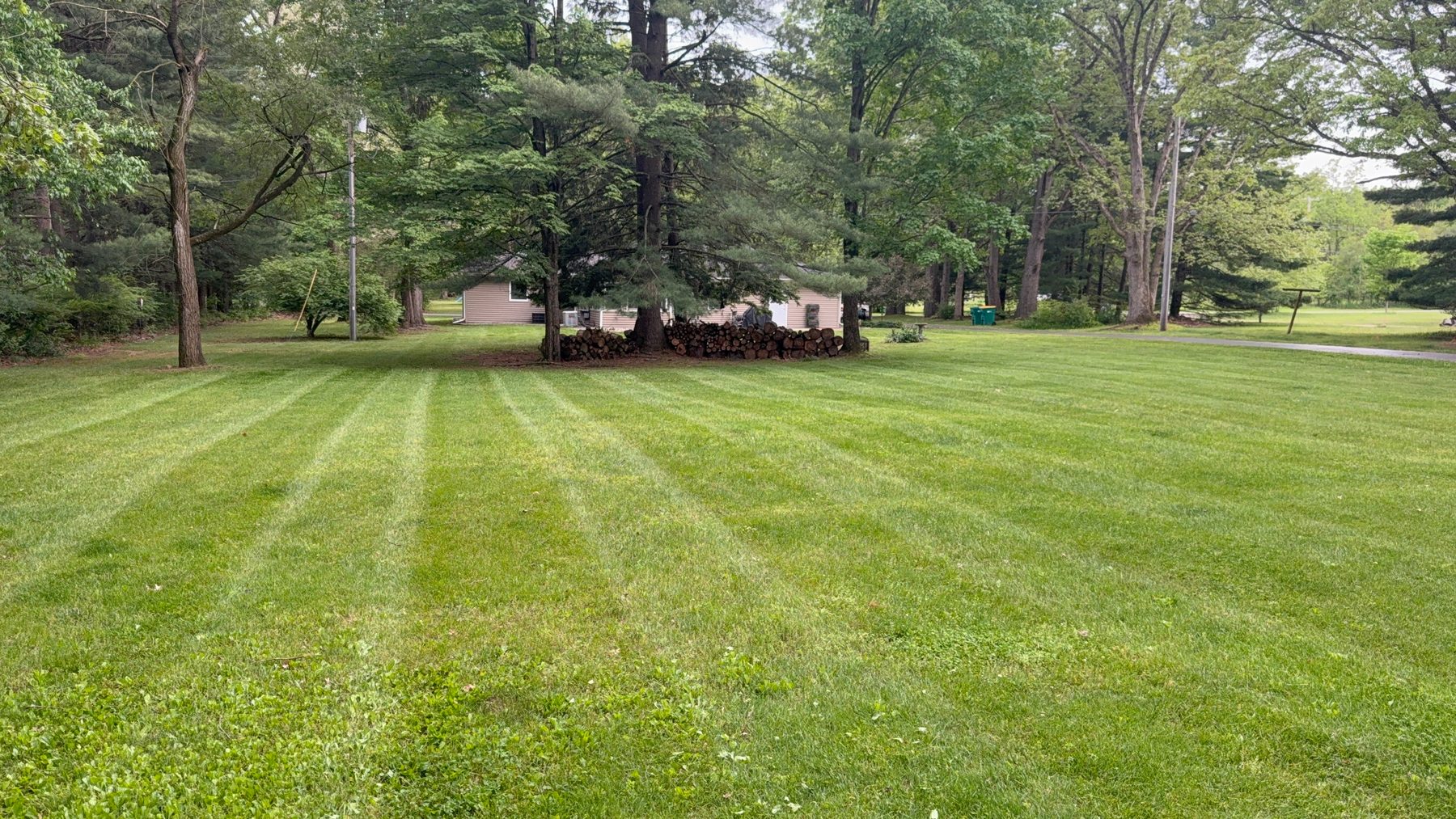 Freshly mowed lawn with clean stripes at a Kalamazoo-area property